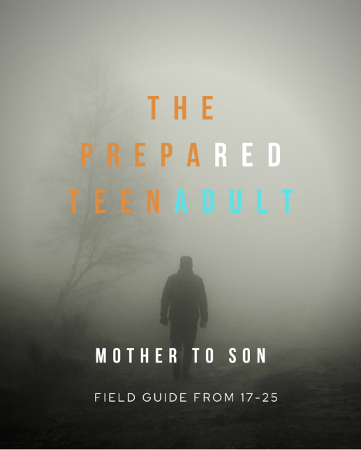 E-Book Cover